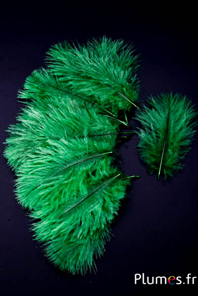 Strauss Bellies - 8-13 cm - moosgrün